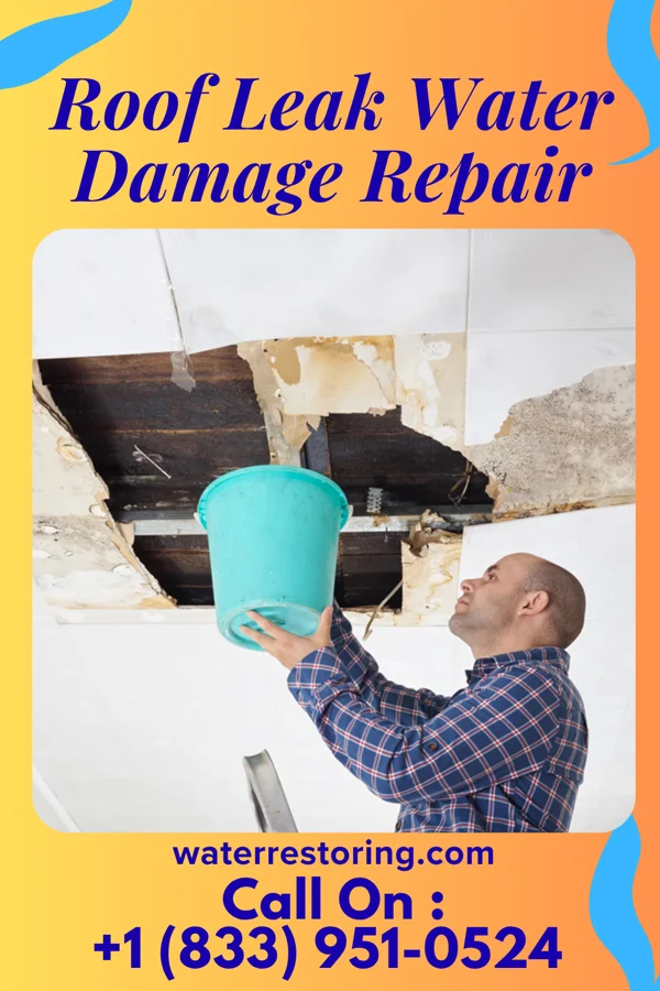 Roof Leak Water Damage Repair in Roosevelt Gardens, FL