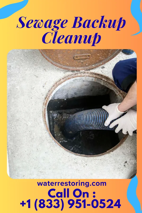 Sewage Backup Cleanup in Roosevelt Gardens, FL